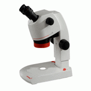 Microscopio LM-4141000