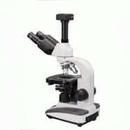 Microscopio AS-T360B-3M